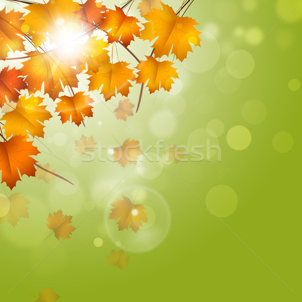 Autumn Fading Leaves  Stock photo © alexaldo