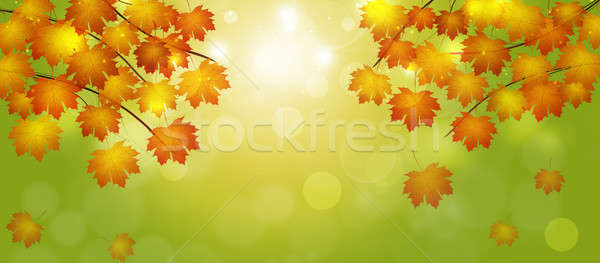 Autumn Falling Leaves Banner Stock photo © alexaldo