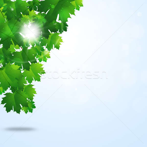 Abstract groene voorjaar bladeren heldere groene bladeren Stockfoto © alexaldo