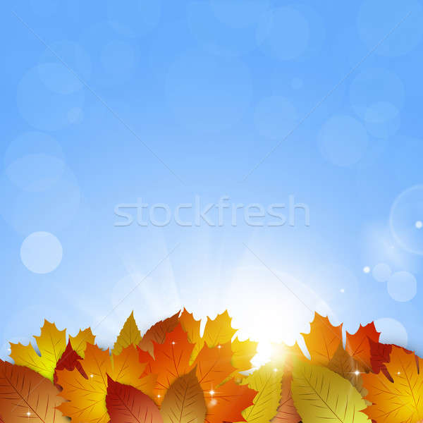 Fallen leaves on Blue Background Stock photo © alexaldo