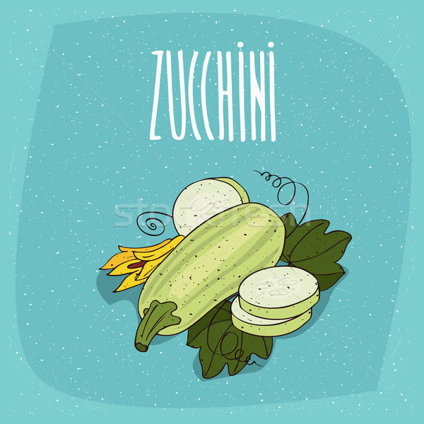 Isoliert Gemüse Früchte Zucchini Zucchini voll Stock foto © alexanderandariadna
