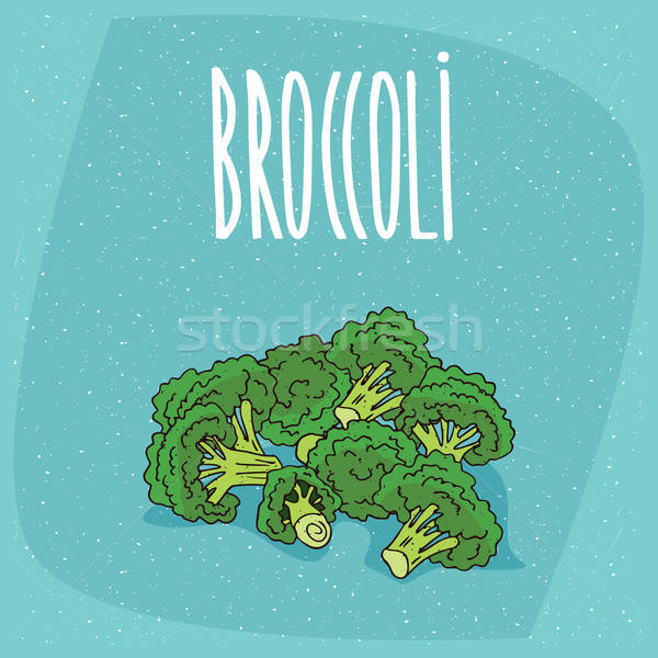 Isolated ripe vegetables broccoli stalks Stock photo © alexanderandariadna