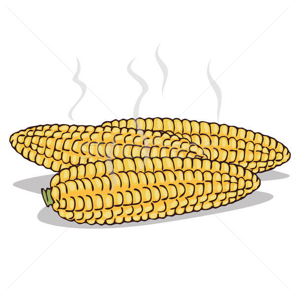 Stock photo: Isolate boiled corn ears with steam