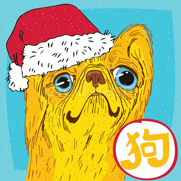 Pekingese or Lion Dog in Santa hat Stock photo © alexanderandariadna