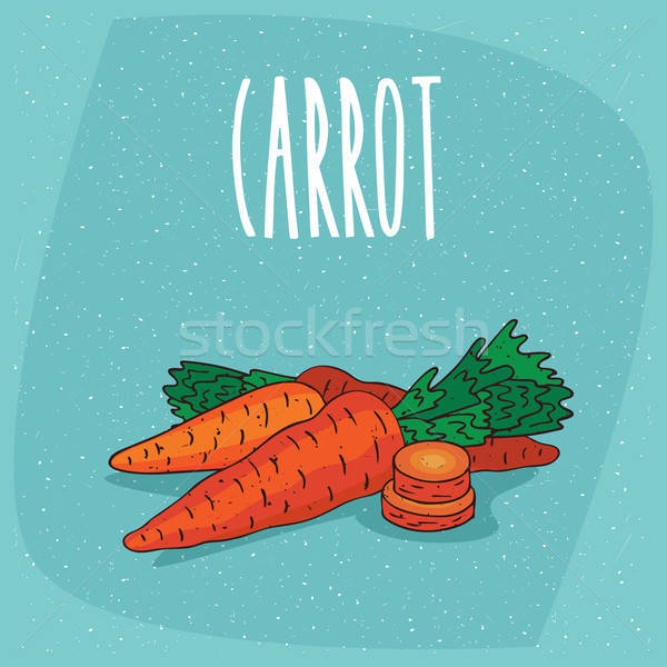 Isolated ripe root vegetables carrot whole and cut Stock photo © alexanderandariadna