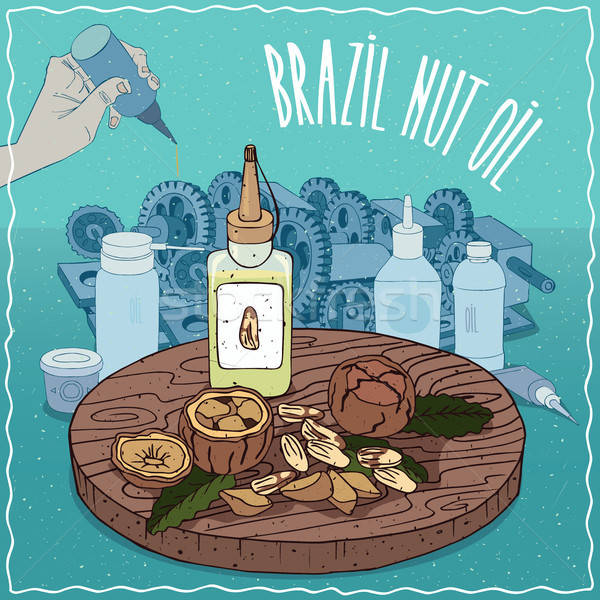 Brazília dió olaj használt zsír síkosító Stock fotó © alexanderandariadna
