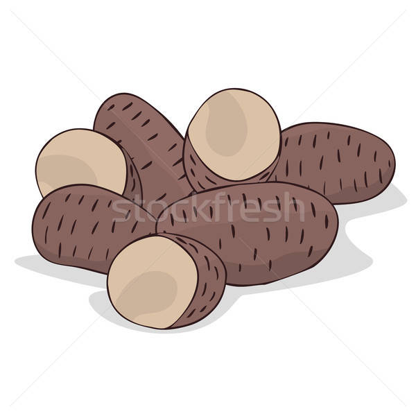 Isolate ripe russet potato tubers Stock photo © alexanderandariadna