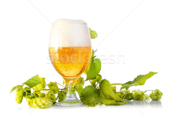 Foto stock: Salto · cerveja · isolado · branco · verde · beber