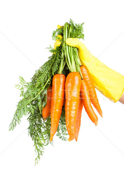 Gloved hand holding a carrot isolated on white background Stock photo © alexandkz