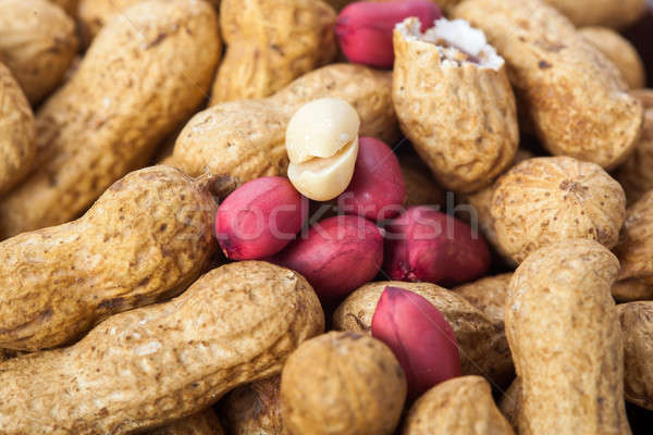 Amendoins fundo campo alimentação concha branco Foto stock © alexandkz