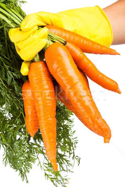 Hand halten Karotte isoliert weiß Essen Stock foto © alexandkz