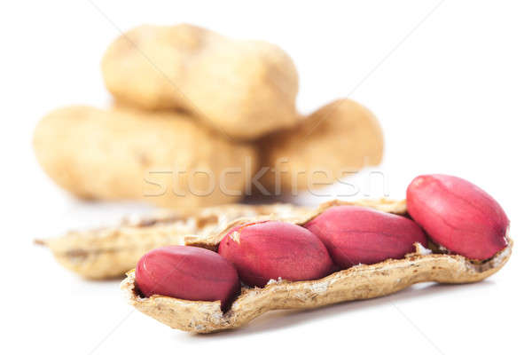 Amendoins isolado branco comida fundo grupo Foto stock © alexandkz