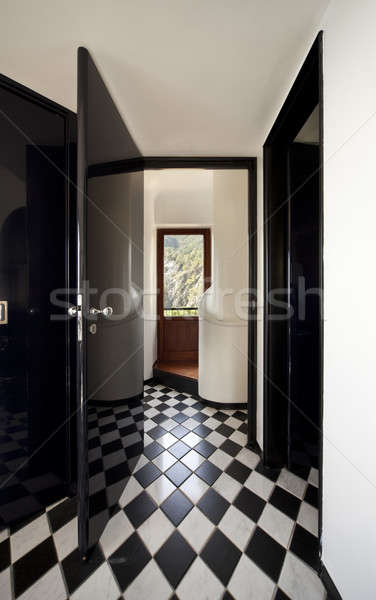 Elegant entrance with '20s chessboard floor Stock photo © alexandre_zveiger