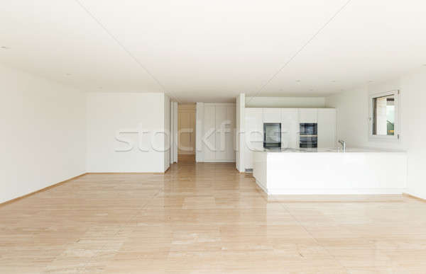 美しい 空っぽ アパート 現代 キッチン 大理石 ストックフォト © alexandre_zveiger