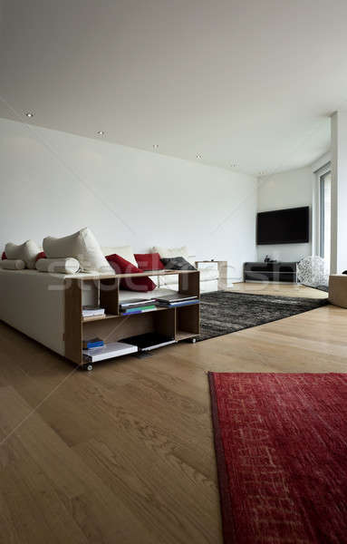 Salón moderna casa casa interior arquitectura Foto stock © alexandre_zveiger