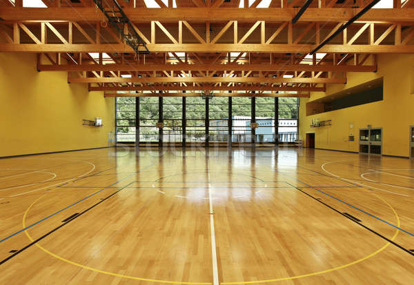 Gebäude öffentlichen Schule Wand Basketball Stock foto © alexandre_zveiger