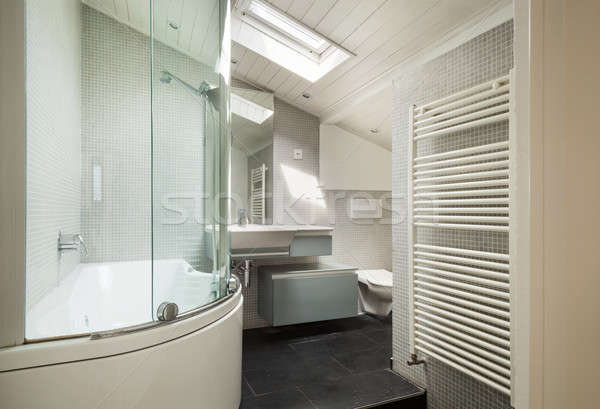 Wnętrza rustykalny domu nowoczesne łazienka starych Zdjęcia stock © alexandre_zveiger