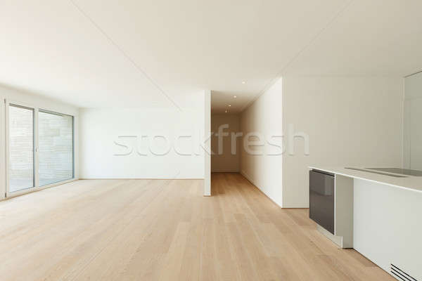 Nowoczesne apartamentu wnętrza daszek pusty salon Zdjęcia stock © alexandre_zveiger
