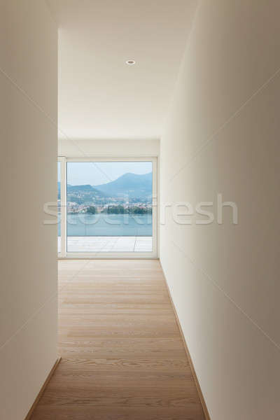 Nowoczesne apartamentu wnętrza daszek widoku ściany Zdjęcia stock © alexandre_zveiger
