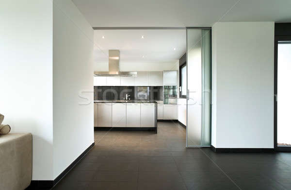 Diseno casa interior moderna cocina Foto stock © alexandre_zveiger