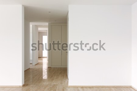 modern house, passage view Stock photo © alexandre_zveiger