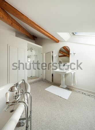 Stockfoto: Verlaten · huis · architectuur · oude · toilet · muur