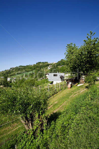 Esterno stile moderno villa moderno casa natura Foto d'archivio © alexandre_zveiger