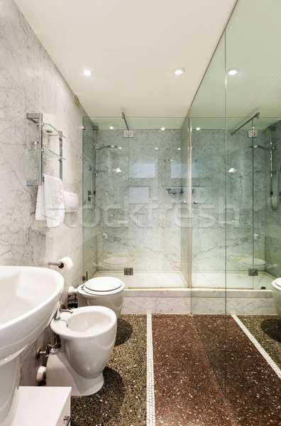 Belső építészet lakás gyönyörű fürdőszoba szoba Stock fotó © alexandre_zveiger