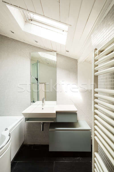 Interior rústico casa moderna bano edad Foto stock © alexandre_zveiger