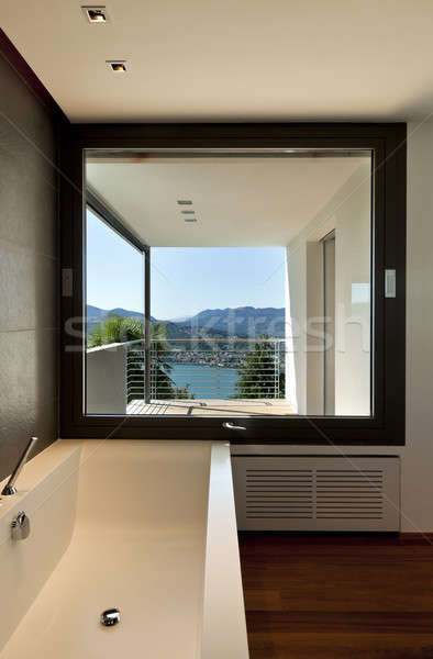 Nuovo interior design appartamento moderno bagno panoramica Foto d'archivio © alexandre_zveiger