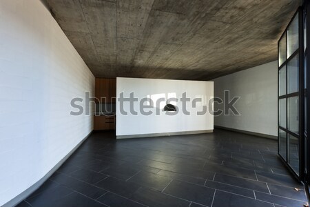 Wnętrza nowego nowoczesne domu nie willi Zdjęcia stock © alexandre_zveiger