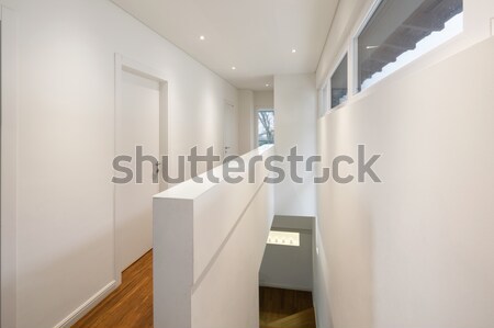 Interior passagem ver belo moderno casa Foto stock © alexandre_zveiger
