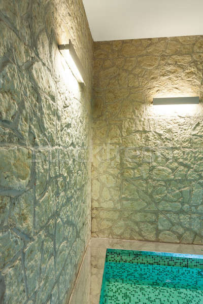 Interior bañera de hidromasaje detalle moderna hotel spa Foto stock © alexandre_zveiger