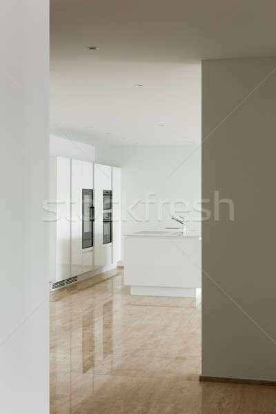 Interior passagem ver belo moderno casa Foto stock © alexandre_zveiger
