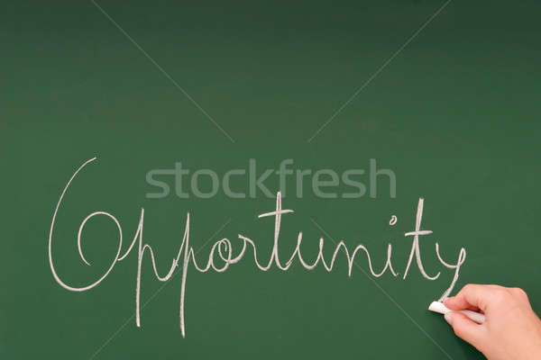 Stock photo: Opportunity written on a blackboard