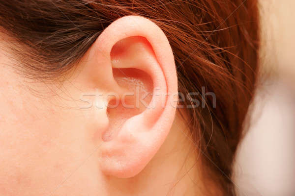 color closeup picture of brunette girl ear Stock photo © alexandrenunes