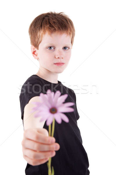 Cute Junge bietet Blumen isoliert weiß Stock foto © alexandrenunes