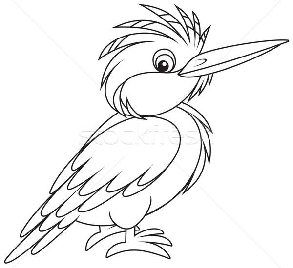 Pescarus natură pasăre animal desen vector Imagine de stoc © AlexBannykh
