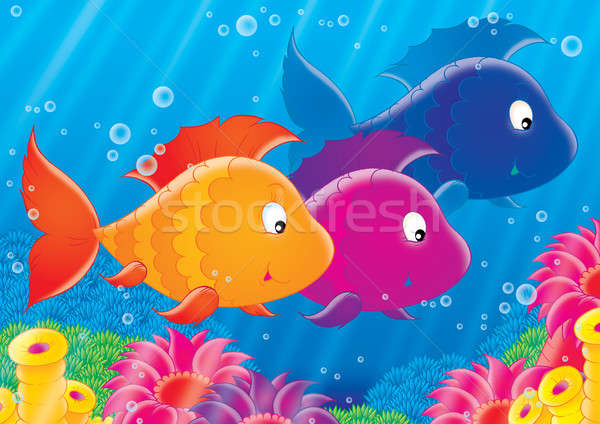 Shoal of colorful fishes Stock photo © AlexBannykh