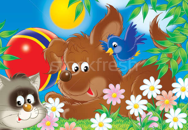 [[stock_photo]]: Drôle · amis · chien · chat · rouge · balle