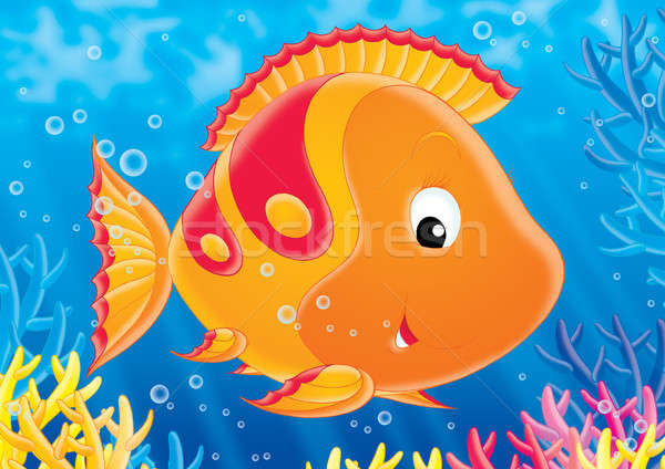 Coral peixe peixe tropical natação colorido Foto stock © AlexBannykh