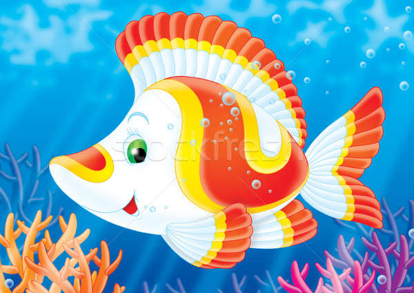 De coral peces peces tropicales natación colorido Foto stock © AlexBannykh