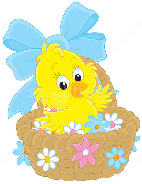 Easter Chick Stock photo © AlexBannykh
