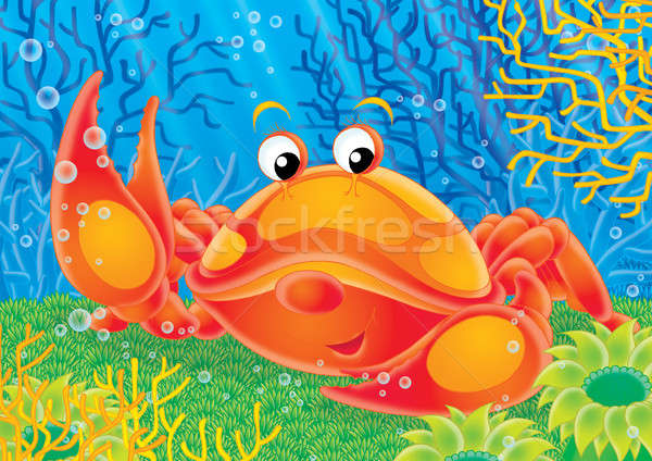 Krab czerwony wody charakter morza Zdjęcia stock © AlexBannykh