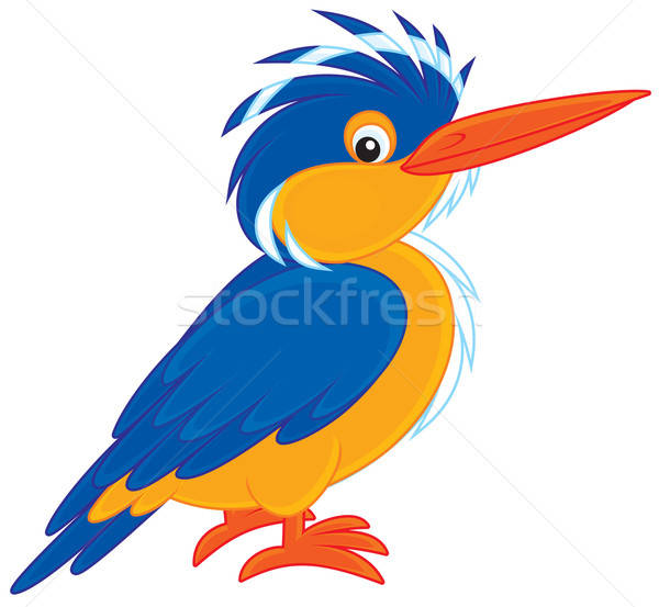 Kingfisher nature oiseau animaux dessin vecteur Photo stock © AlexBannykh