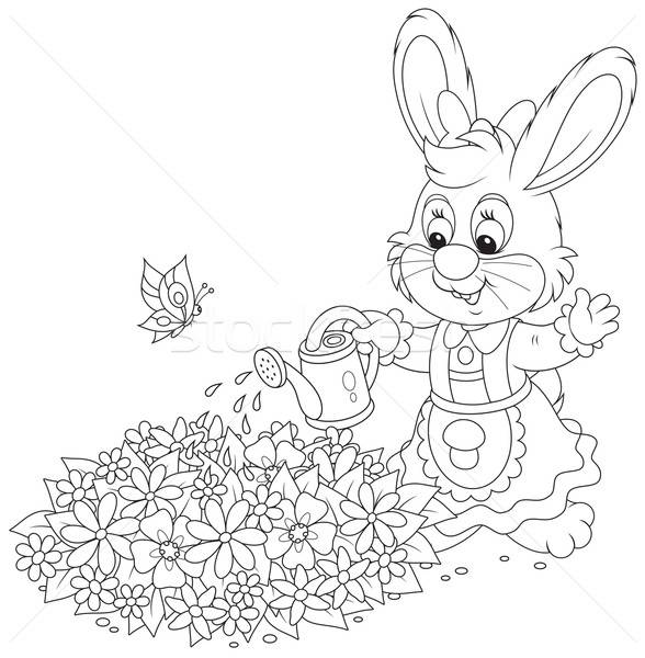 Easter Bunny watering flowers Stock photo © AlexBannykh