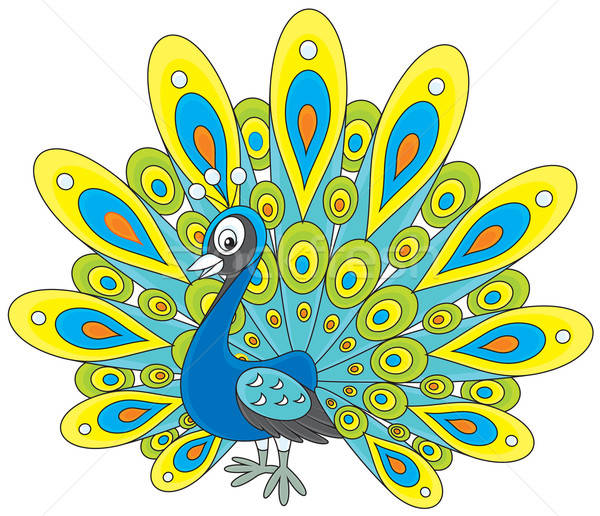 Peacock Stock photo © AlexBannykh