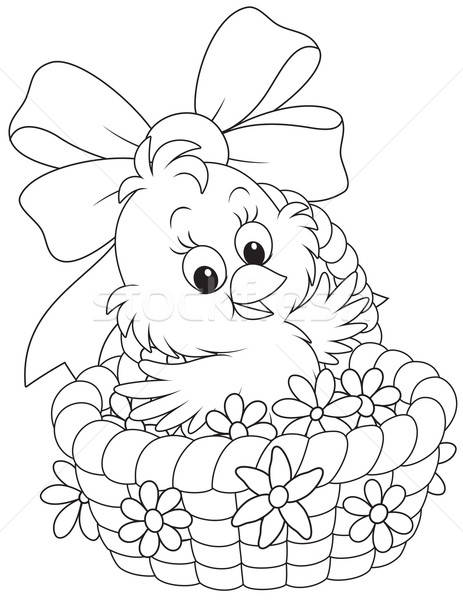Easter Chick Stock photo © AlexBannykh