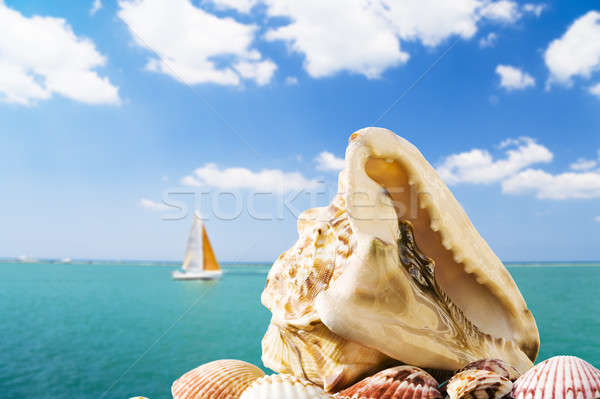 Sommer groß Shell verschwommen Seenlandschaft Segelboot Stock foto © alexeys