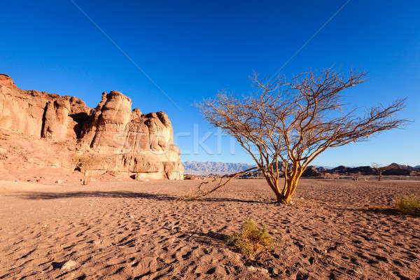 Rock Park Israel Landschaft Wüste blau Stock foto © alexeys
